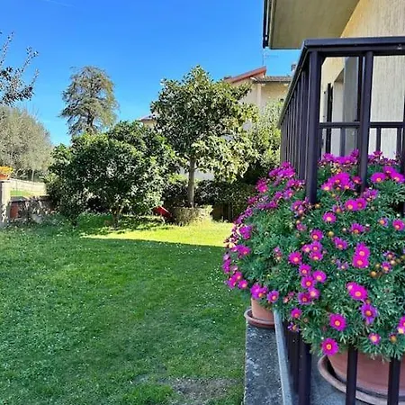Apartment Albatros *